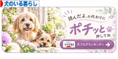 にほんブログ村 犬ブログ 犬のいる暮らしへ