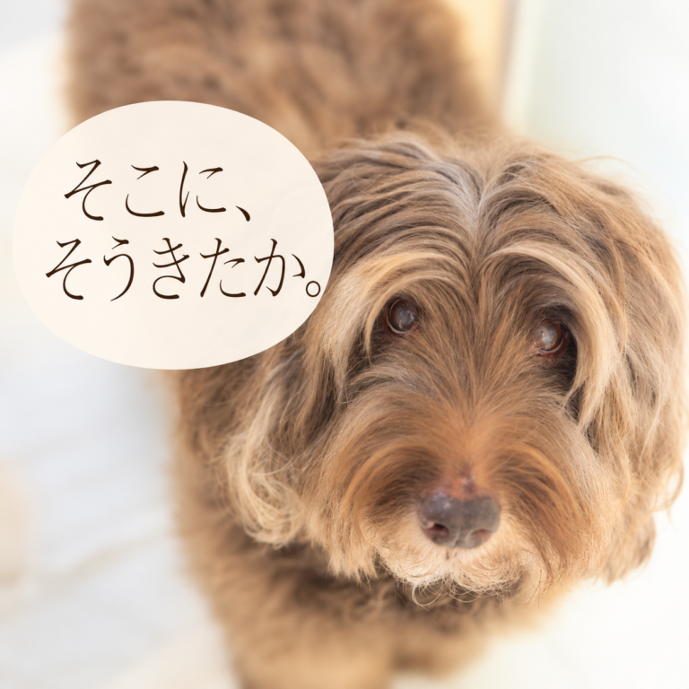 B13dfb3a 7fb2 4fc1 b04e ad28c63f9765
